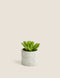 Artificial Mini Succulent in Concrete Pot